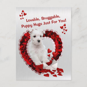 Westie Loveable Snuggable Puppy Hugs Valentine Holiday Postcard