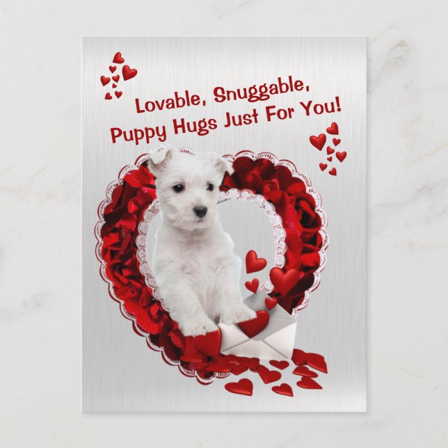 Westie Loveable Snuggable Puppy Hugs Valentine Holiday Postcard (Front)