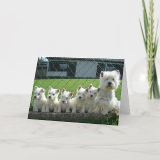 Westie Mother and Puppies Card