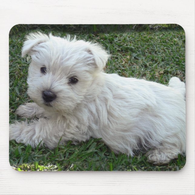 Westie Mouse Mat (Front)