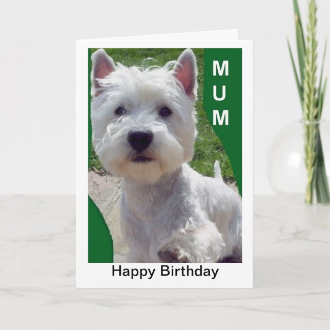 Westie Mum Birthday Card Westi Higland Terrier (Front)