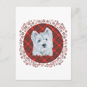 Westie on Tartan Postcard