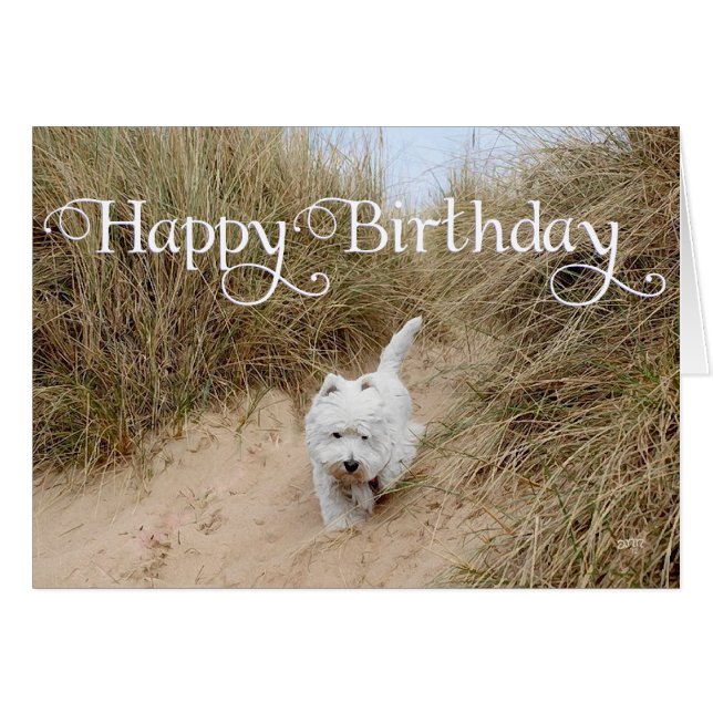 Westie on the Sand Dunes (Front Horizontal)