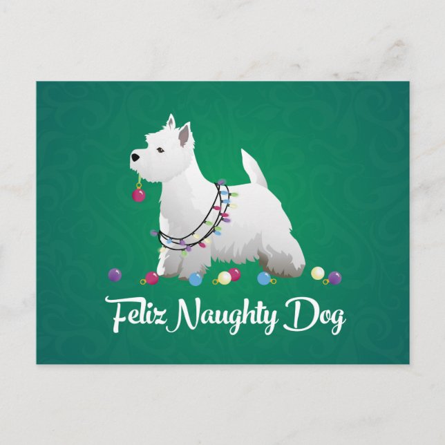 Westie or West Highland Terrier Feliz Naughty Dog Postcard (Front)