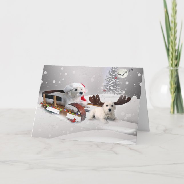 Westie Pals Enjoy Christmas Day Sledding Holiday Card (Front)