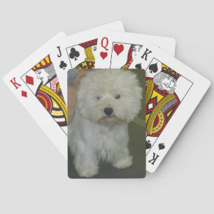 Westie Playing Cards