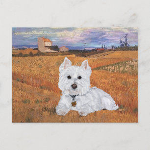 Westie Postcard