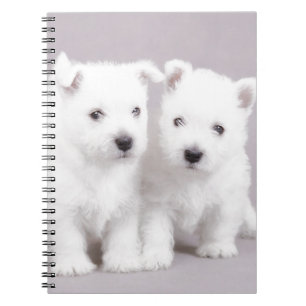 Westie puppies notebook