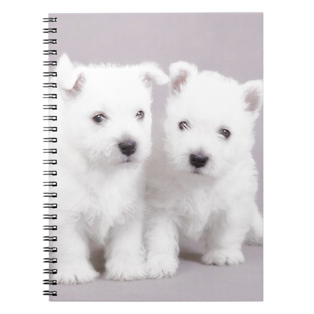 Westie puppies notebook (Front)