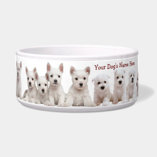 Westie Puppies Waiting Patiently For Their Food