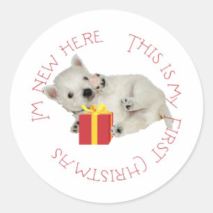 Westie Puppy First Christmas Classic Round Sticker