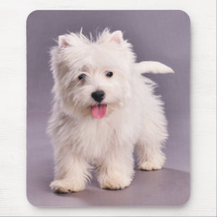 Westie puppy mouse mat