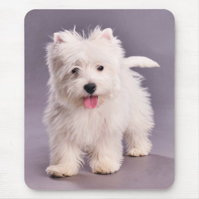 Westie puppy mouse mat (Front)