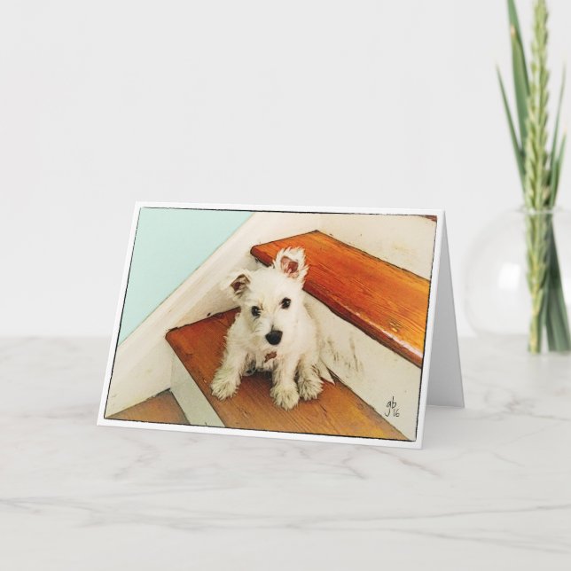 Westie Puppy On Step Thinking Of You Card (Front)