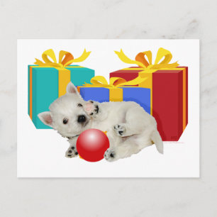 Westie Puppy with Christmas Presents Holiday Postcard