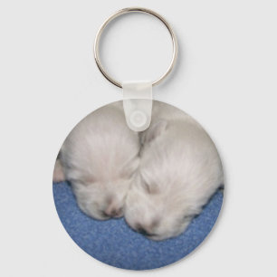 Westie Pups Sleeping Key Ring