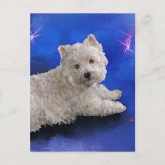 Westie Resting Postcard