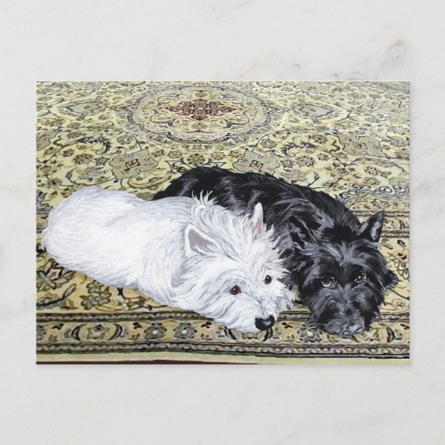 Westie & Scottie at Ease Postcard (Front)