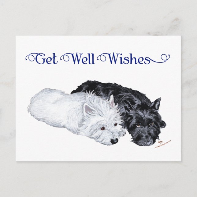 Westie & Scottie at Ease Postcard (Front)
