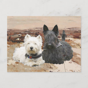 Westie & Scottie Together Autumn Postcard