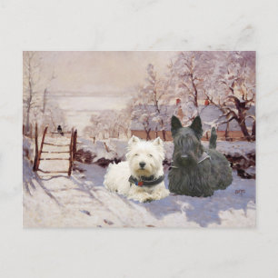 Westie & Scottie Winter Magpie Postcard