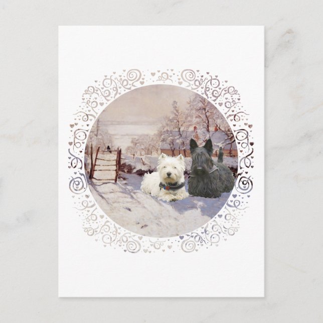 Westie & Scottie Winter Magpie Postcard (Front)