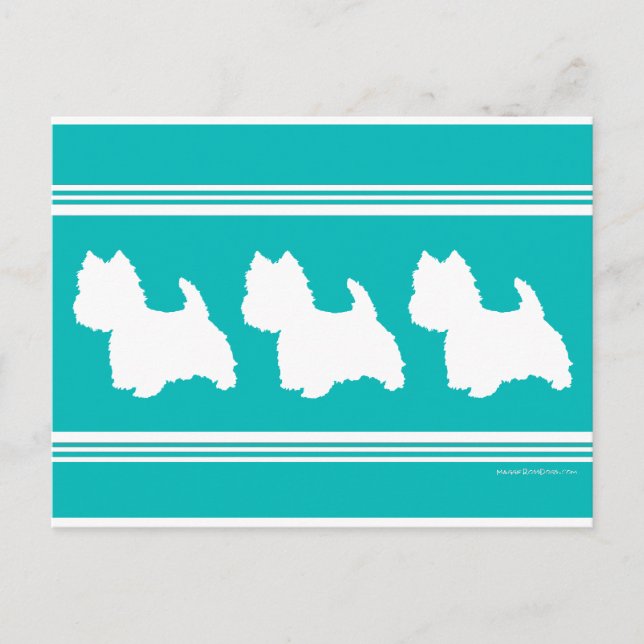 Westie Silhouette on Turquoise Postcard (Front)
