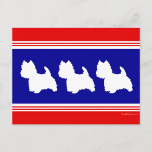 Westie Silhouette Red, White, Blue Postcard