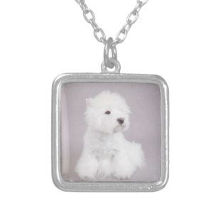 Westie Silver Plated Necklace