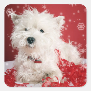 Westie Snowflake Holiday Design Square Sticker