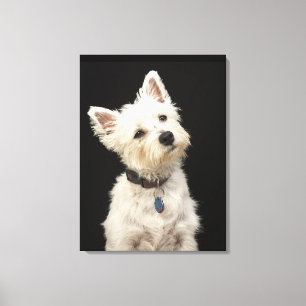 Westie West Highland Terrier Canvas Print