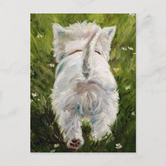 Westie West Highland Terrier Post Card (Front)