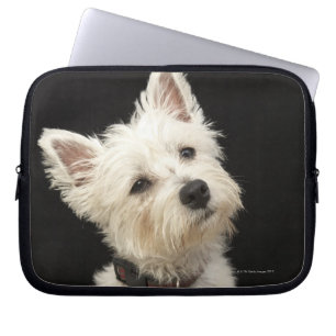 Westie (West Highland terrier) with collar Laptop Sleeve