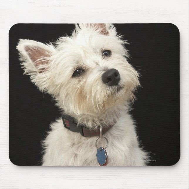 Westie (West Highland terrier) with collar Mouse Mat (Front)