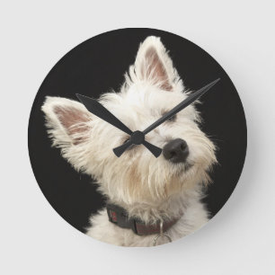 Westie (West Highland terrier) with collar Round Clock