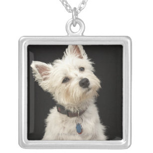 Westie (West Highland terrier) with collar Silver Plated Necklace