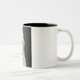 Westie (West Highland terrier) with collar Two-Tone Coffee Mug