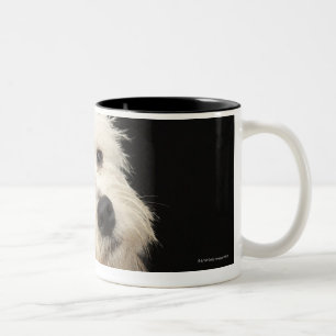Westie (West Highland terrier) with collar Two-Tone Coffee Mug