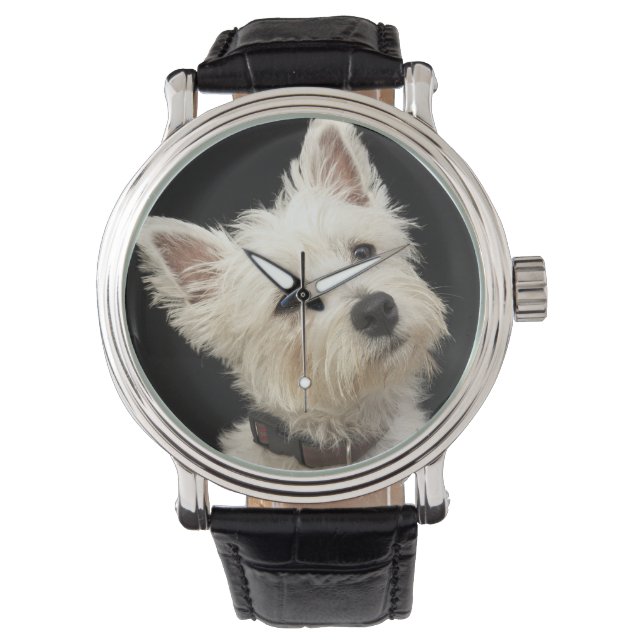 Westie (West Highland terrier) with collar Watch (Front)