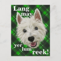 Westie Wisdom. Lang may yer lum reek!