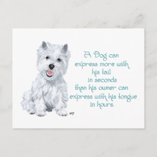 Westie Wisdom - Wagging Tail or Tongue? Postcard
