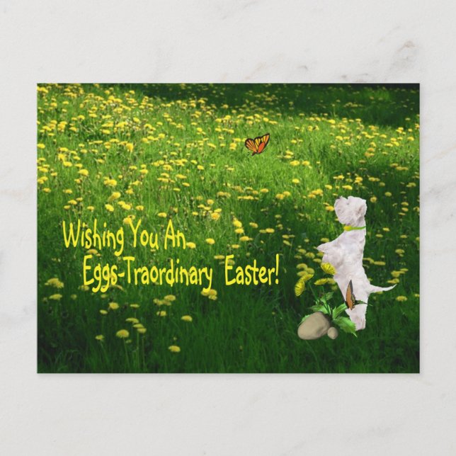 Westie Wishing You An Eggs - Traordinary Easter Holiday Postcard (Front)