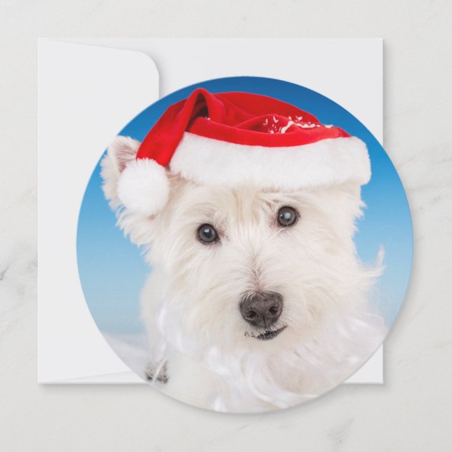 Westie with Santa Hat and Beard Holiday Card (Front)
