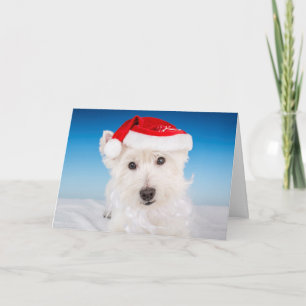 Westie with Santa Hat and Beard Holiday Card