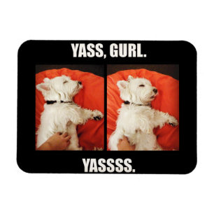 Westie Yass Gurl Funny Magnet