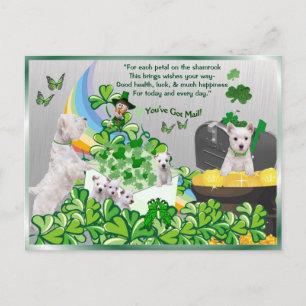 Westie You’ve Got Mail - St Patrick's Day Version Postcard