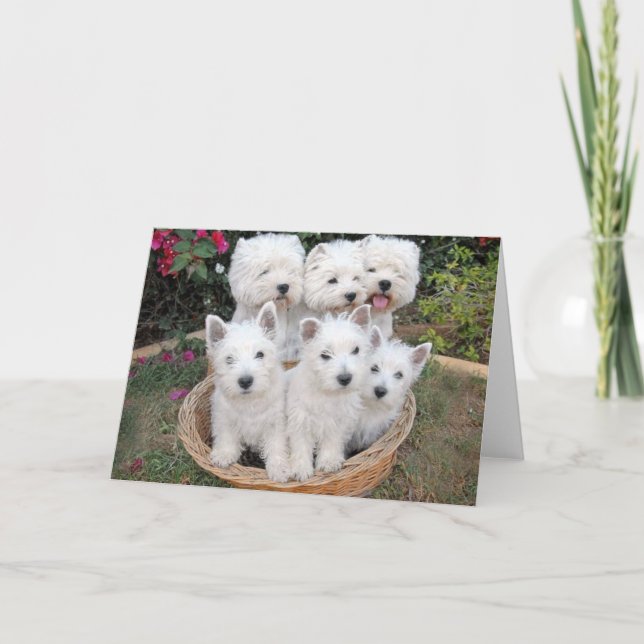 Westies in a Basket Card (Front)