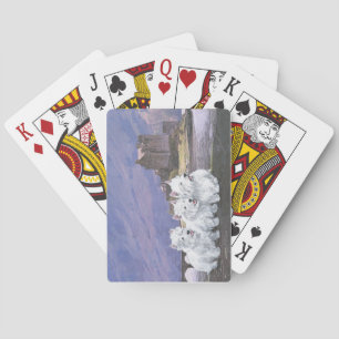 Westies in Scotland Playing Cards