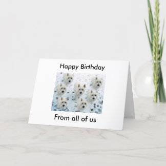 Westies in Snow "Happy Birthday from all of uss" Card