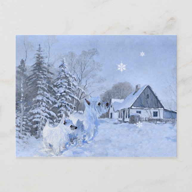 Westies Love the Wintertime Postcard (Front)